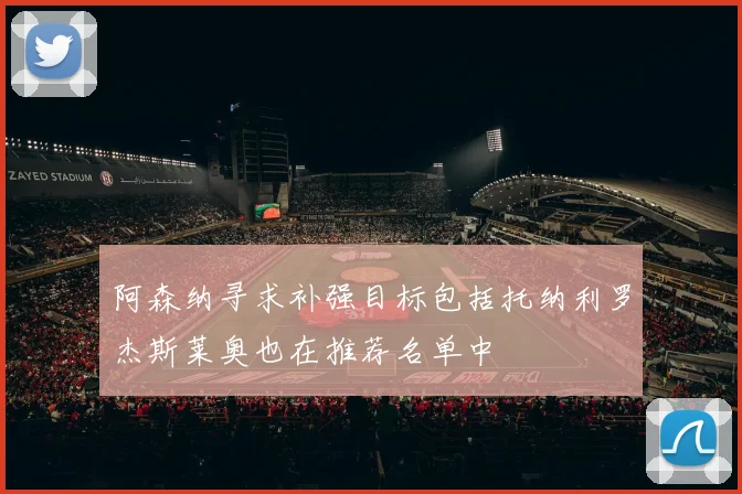 阿森纳寻求补强目标包括托纳利罗杰斯莱奥也在推荐名单中